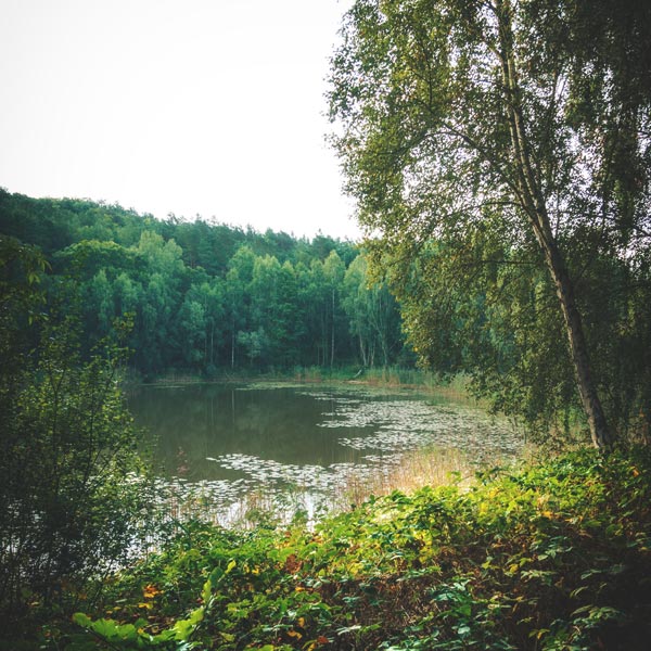 Dorfsee Brodowin - September 2018