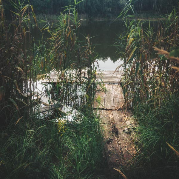 Dorfsee Brodowin - September 2018