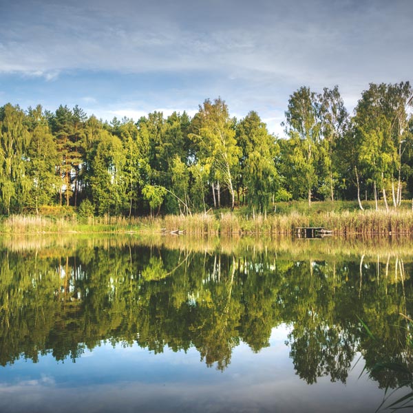 Dorfsee Brodowin - September 2018