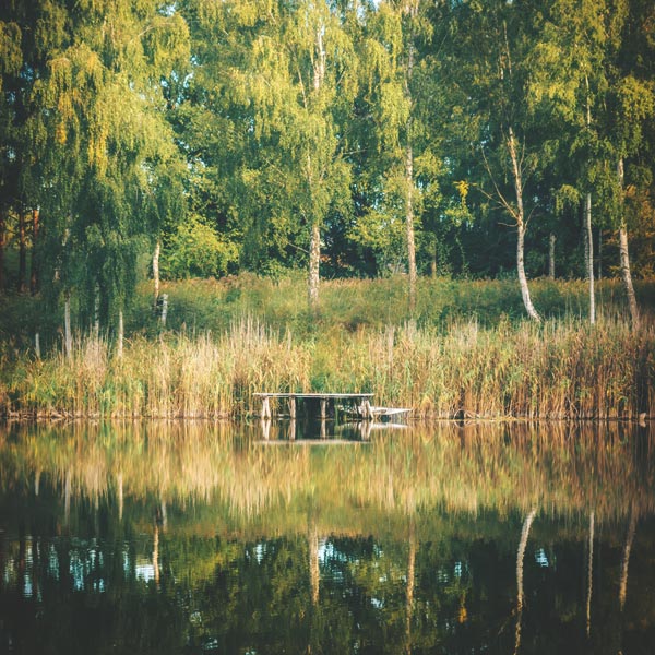 Dorfsee Brodowin - September 2018