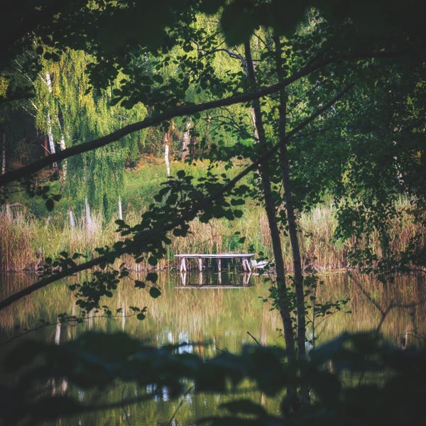 Dorfsee Brodowin - September 2018