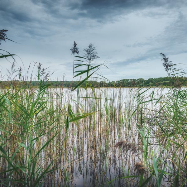 Grosser Plagesee - September 2018